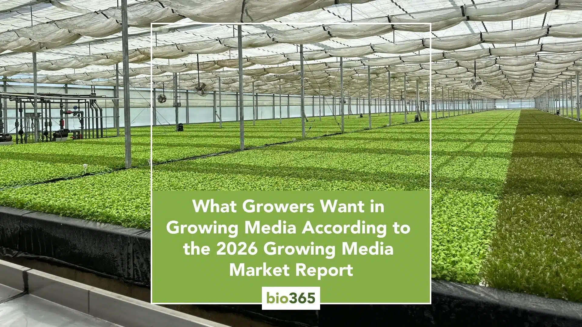 What Growers Want in Growing Media According to the 2026 Growing Media Market Report