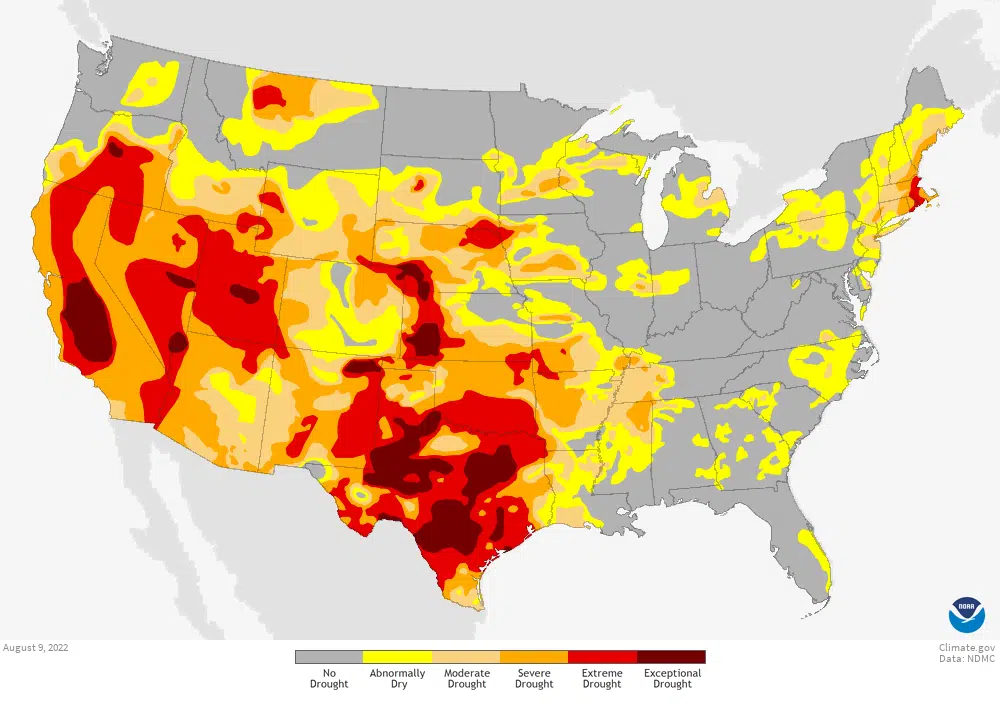 U.S. Drought Map August 9 2022