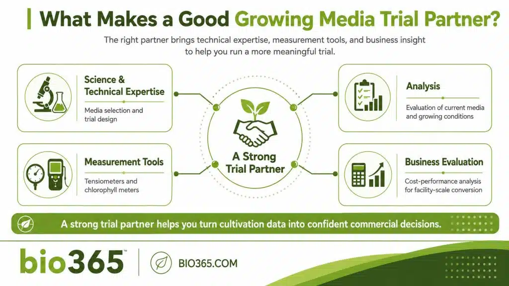 bio365 Commercial Growing Media Trial Support | bio365 Bio365 Technical Team Supporting a Commercial Cea Growing Media Trial