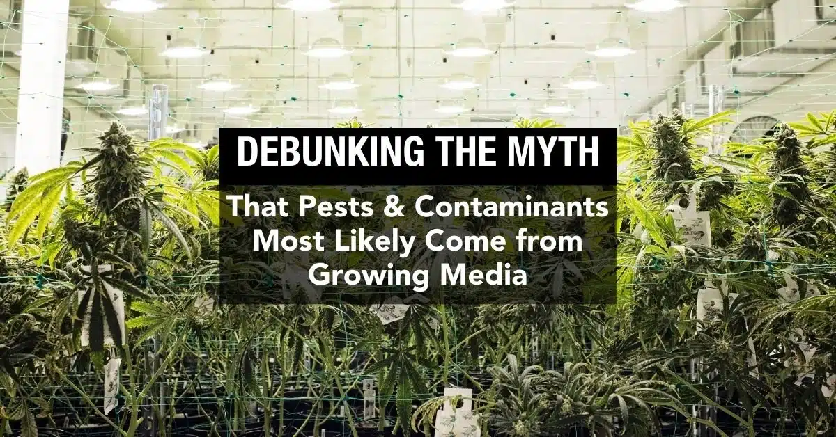 attachment 668d5874de6bd611216d4ff9