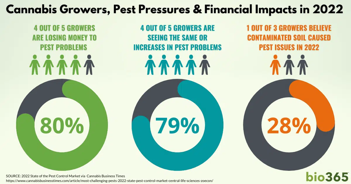 cannabis growers pest pressures financial impacts