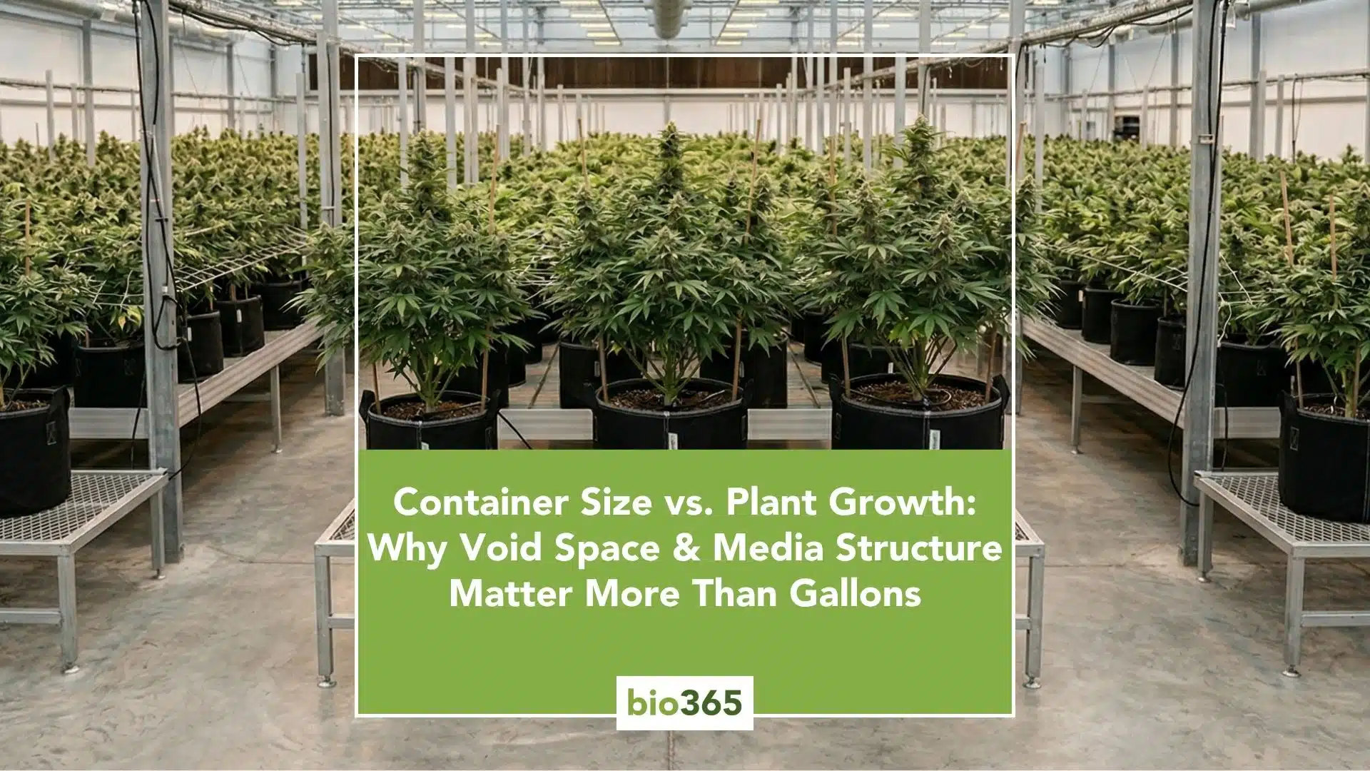 Container Size vs Plant Growth: Why Void Space and Media Structure Matter More Than Gallons