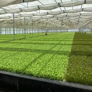 greenlife farms | bio365 Greenlife Farms