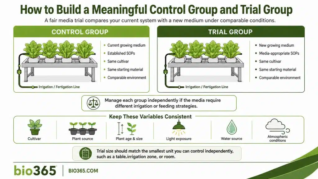 Control Group vs. Trial Group for Growing Media Testing | bio365 Control and Trial Groups in a Commercial Growing Media Trial with Separate Irrigation Zones