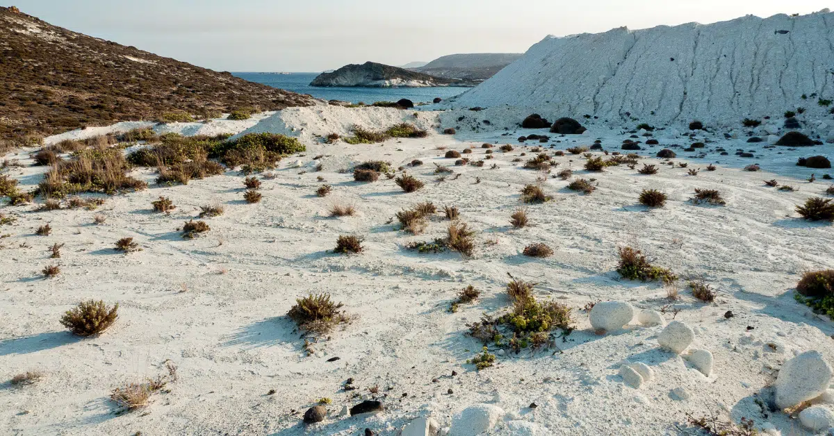 attachment 61ba39c52f40eb6c8a6808db