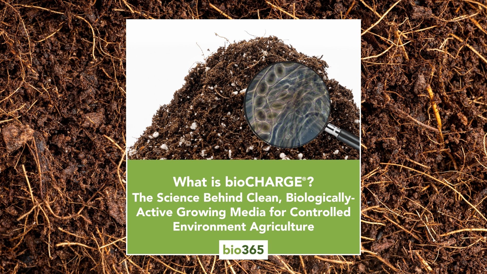 What is bioCHARGE®? The Science Behind Clean, Biologically Active Growing Media in Controlled Environment Agriculture