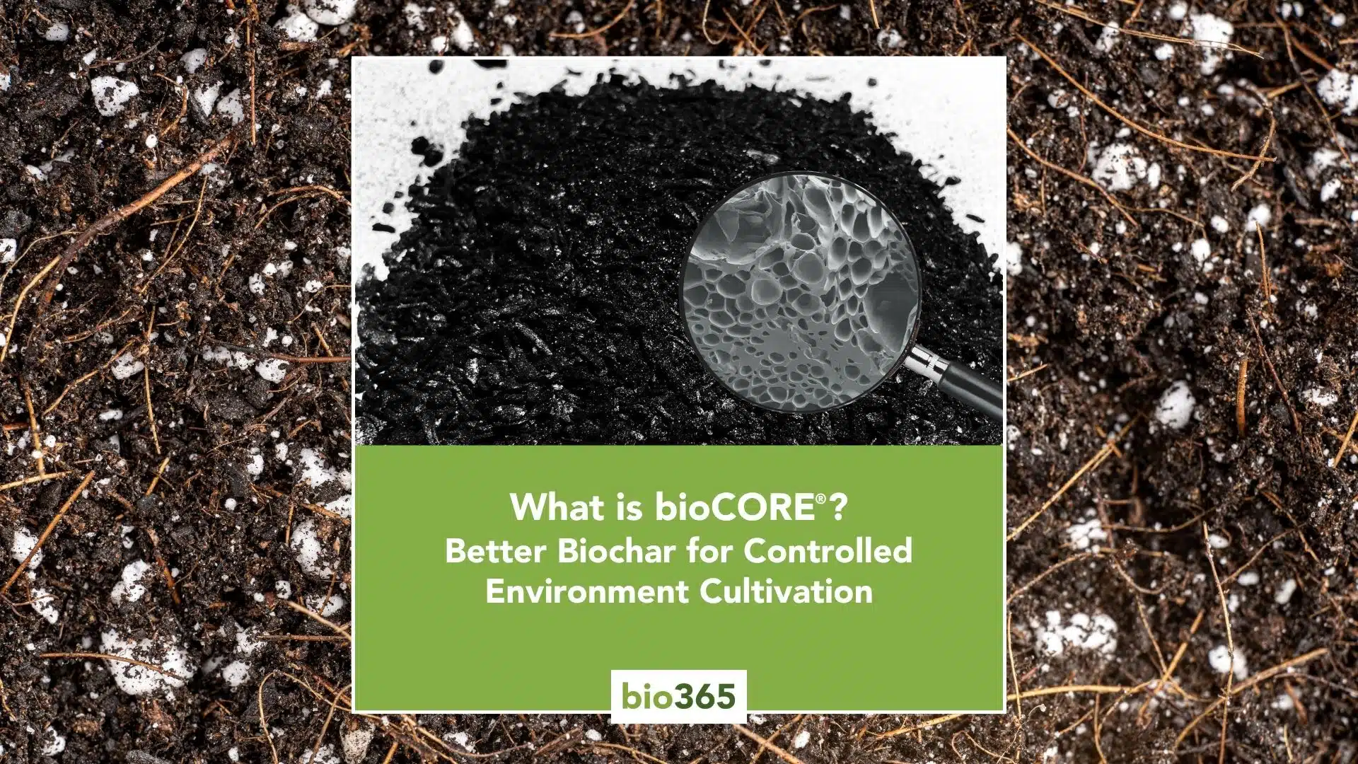bioCORE engineered biochar in growing media for commercial controlled environment cultivation